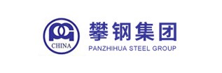 攀鋼集團(tuán)